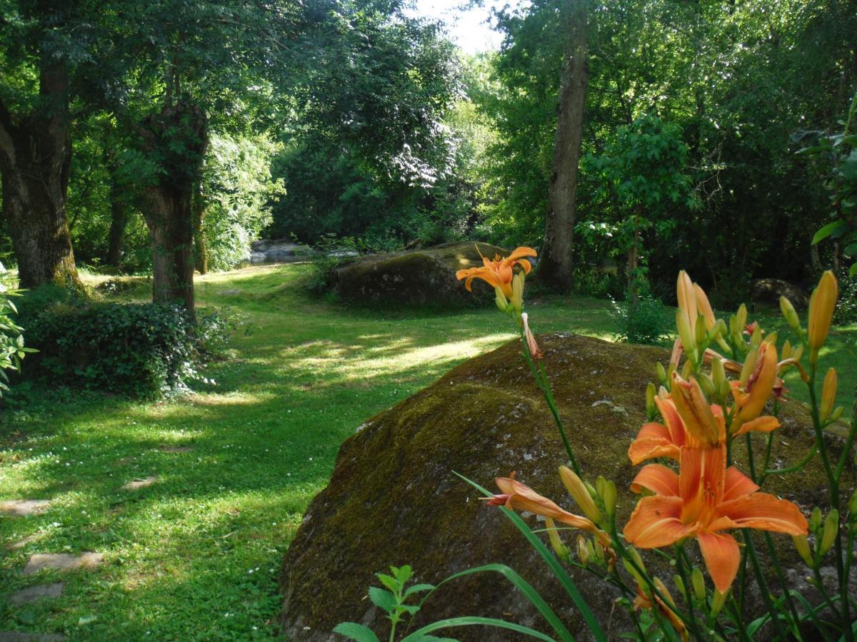 Village De Gites Du Moulin Neuf Getigne Екстериор снимка